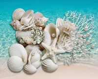 75 Floating Seashells White Mostly-White Coral Reef-White Starfish-Pearls-Aqua Beads-Option: 3 Submersible LED Fairy Lights Strings with Hidable Submersible Batteries-Includes the Transparent Water Gels Which Fills 1 Gallon of the Floating Water Gels